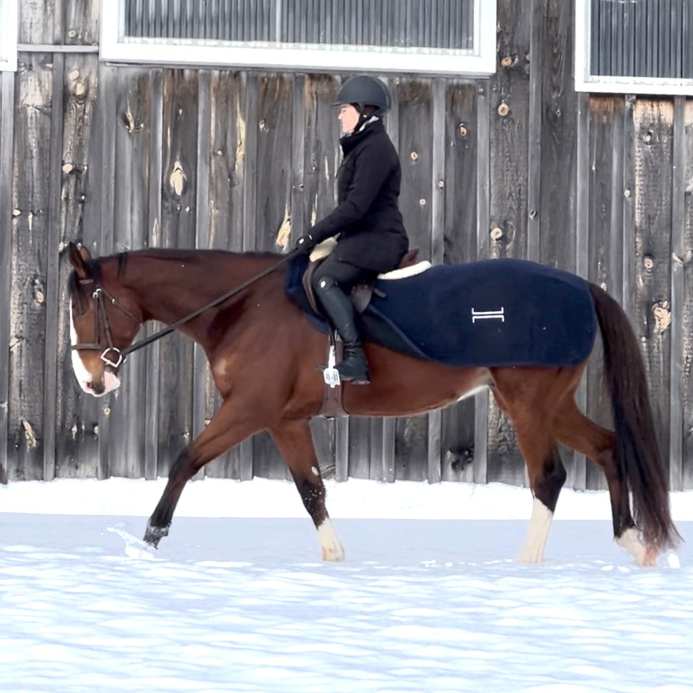 Basics Equestrian Classic Quarter Sheet Navy