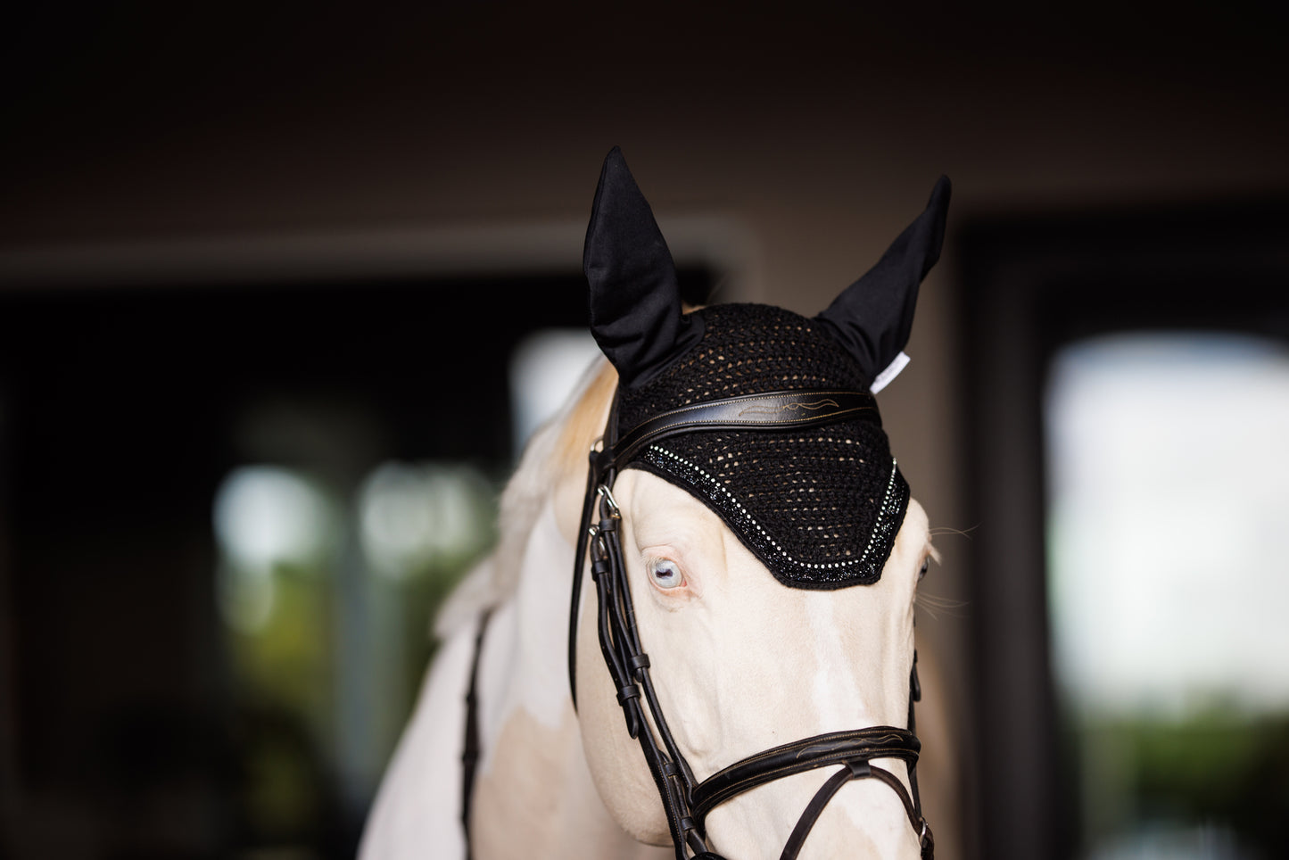 Basics Equestrian Ear Bonnet