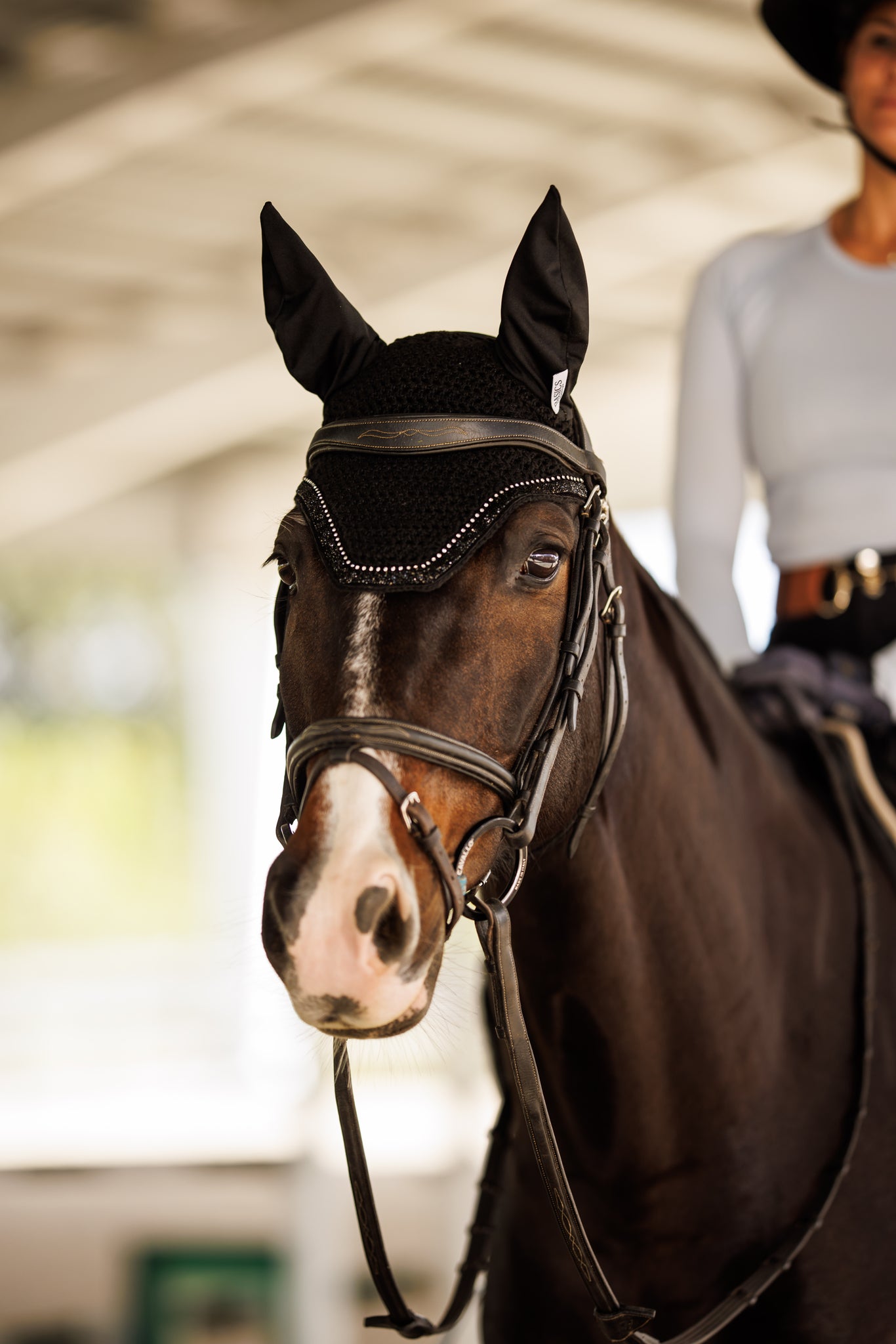 Basics Equestrian Ear Bonnet